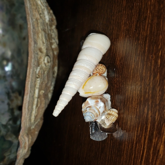 Hand crafted seashell Mermaid 🧜‍♀️ hair accessory - Picture 4 of 5